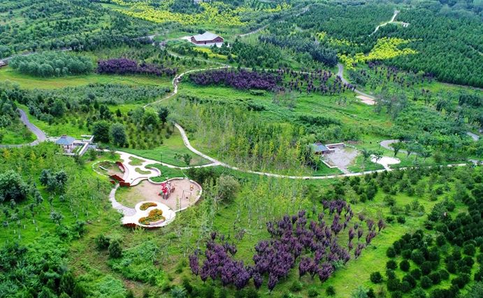 防患未“燃”，房山筑牢森林“防火墻”！