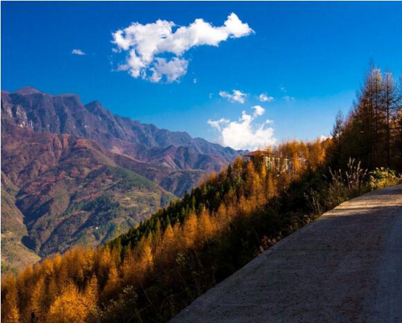 實施森林防火監(jiān)控建設(shè) 提升森林防火預(yù)警能力