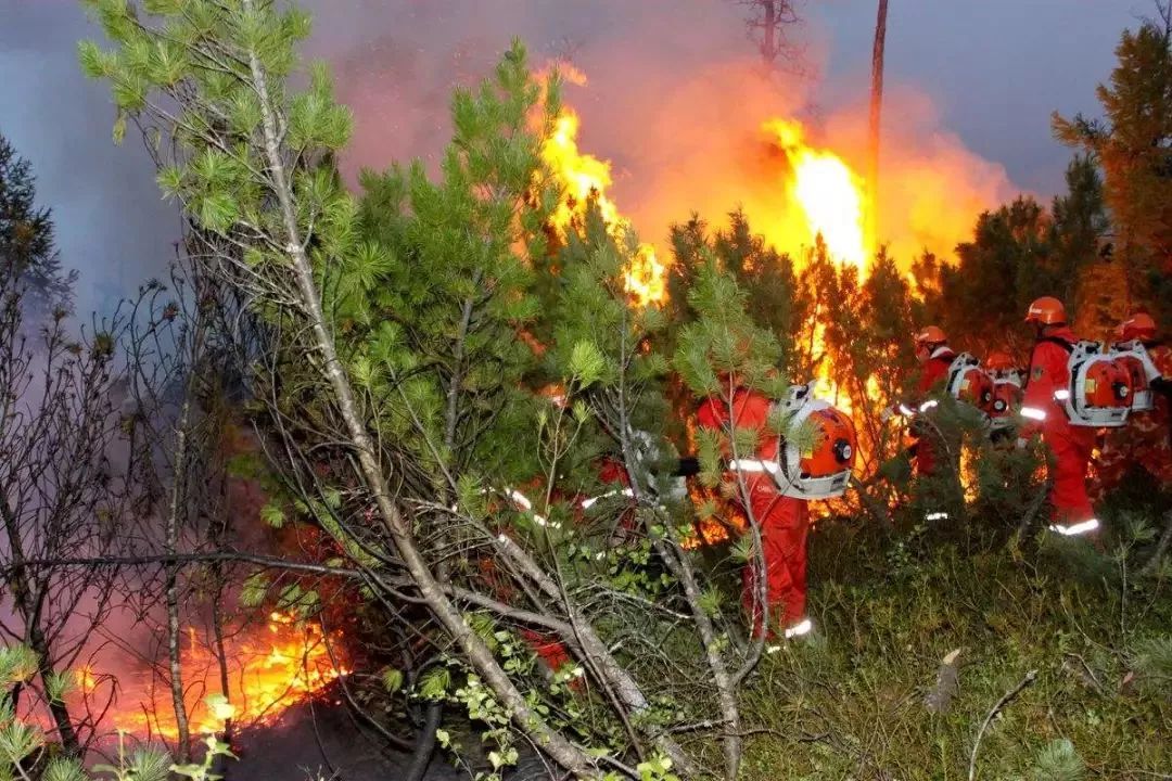 增加森林防火知識，我們不能掉以輕心