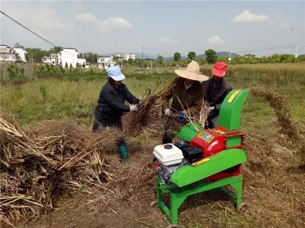 狠抓秸稈禁燒，我們這么干！