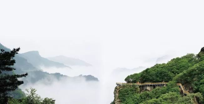 連云港將新增12個森林公園，快看有你家附近的么！