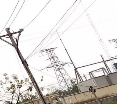 看看這些電力人的春季巡檢！