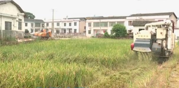 秸稈焚燒，NO！這個(gè)神器了解一下，湘鄉(xiāng)安排180萬(wàn)資金全面推廣