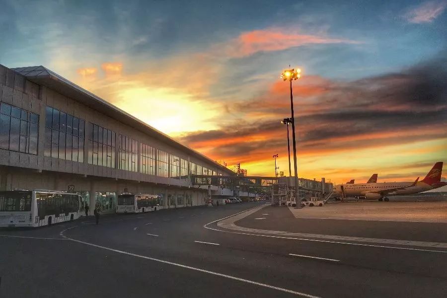 鳥(niǎo)是人類的益友，然而對(duì)機(jī)場(chǎng)而言......