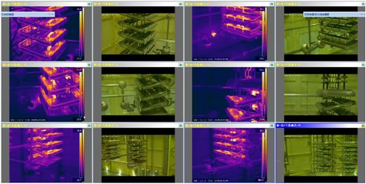 紅外熱像儀在線監(jiān)測系統(tǒng)在換流站中的應用