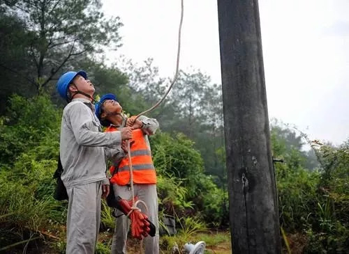 白露已過，秋天來襲，不怕不怕，有我在