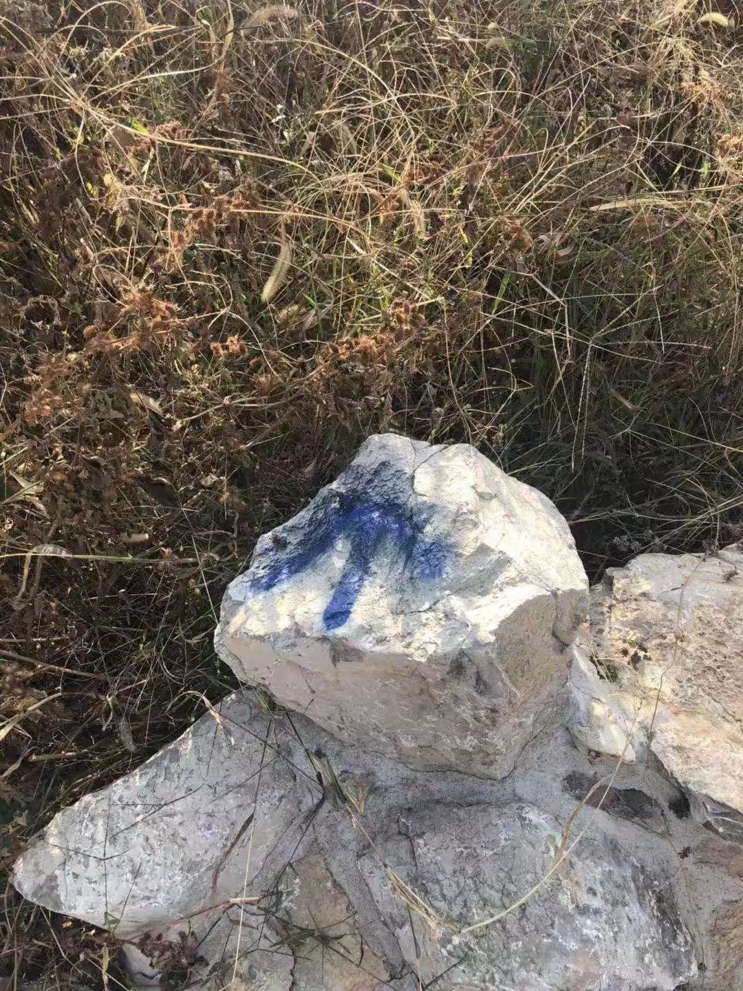 七賢街道完成森林防火卡口監(jiān)控設(shè)備安裝、選址工作