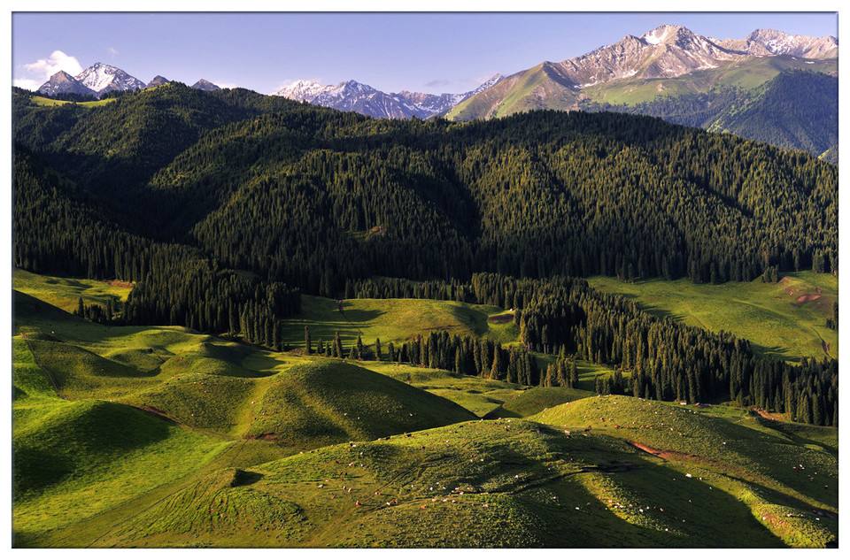 光電轉(zhuǎn)臺(tái)、無(wú)人機(jī)······環(huán)境檢測(cè)領(lǐng)域里的“黑科技”