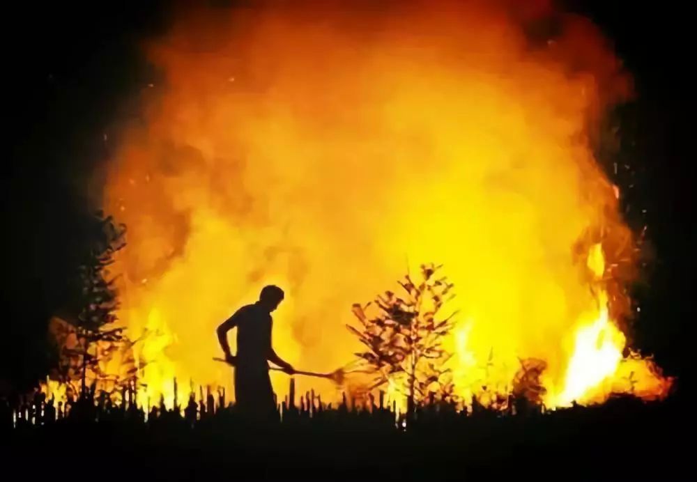 如何看待美國(guó)加州大火？怎樣有效防止森林火災(zāi)蔓延成人間悲??？