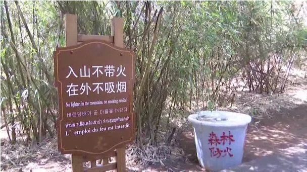 贊！雞足山景區(qū)連續(xù)35年無森林火災(zāi)，因為他們...
