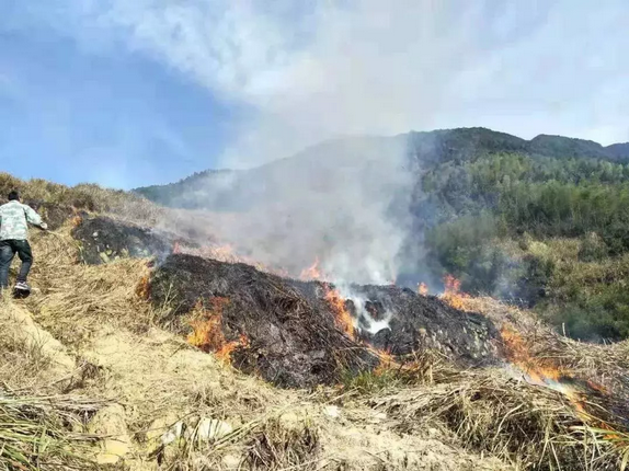 有了天上這幾只“大眼睛”，焚燒秸稈行為無所遁逃！