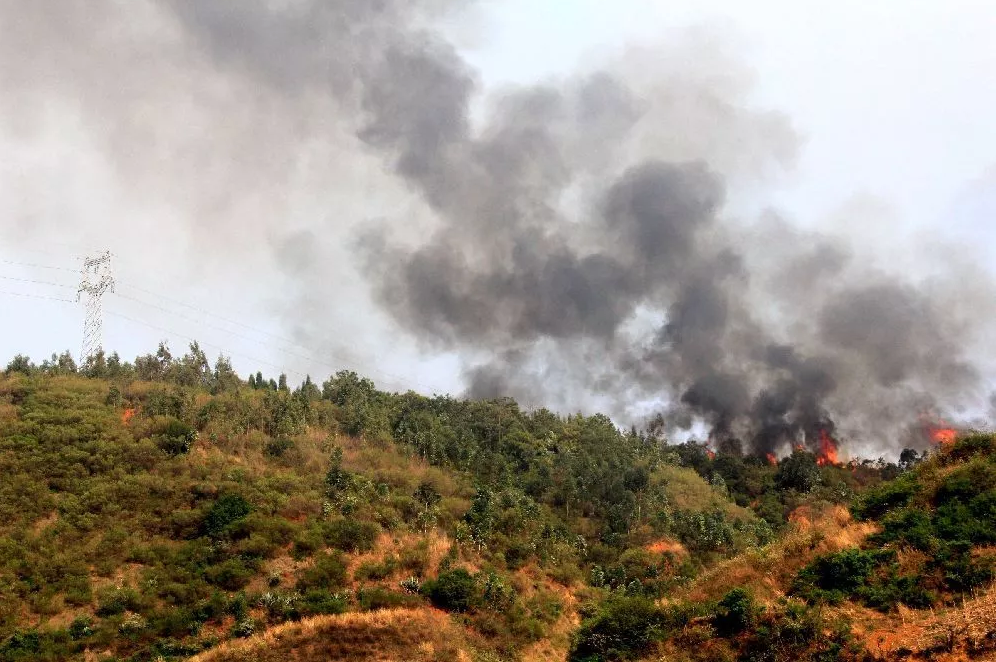 當(dāng)大風(fēng)遇上山火，看電網(wǎng)人亮“神器”出絕招！