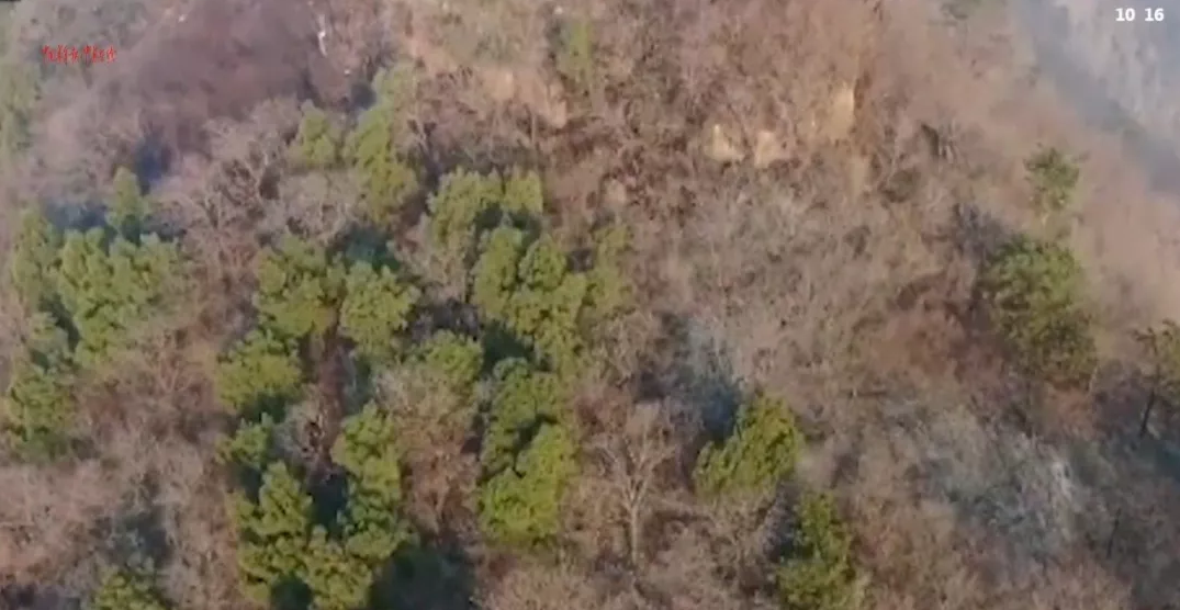 “無(wú)人機(jī)+紅外熱像儀”助力森林火險(xiǎn)預(yù)警