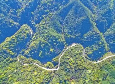 智能化，讓森林防火監(jiān)控管護更“智慧”