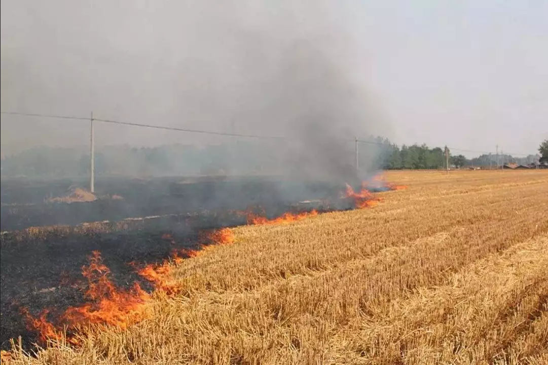 全方位、全覆蓋、無(wú)縫隙、實(shí)時(shí)監(jiān)控！夏收的秸稈你別燒！