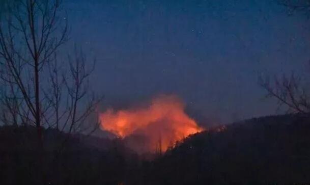 森林防火警鐘長鳴 從這些警示案例中吸取教訓！