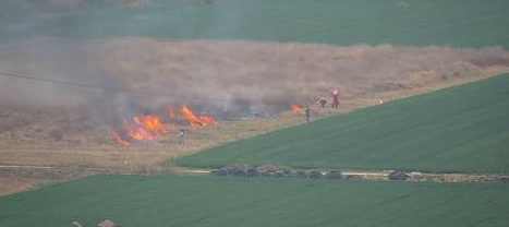 ?草原防火視頻監(jiān)控系統(tǒng)搭建，華瑞通有話要說。