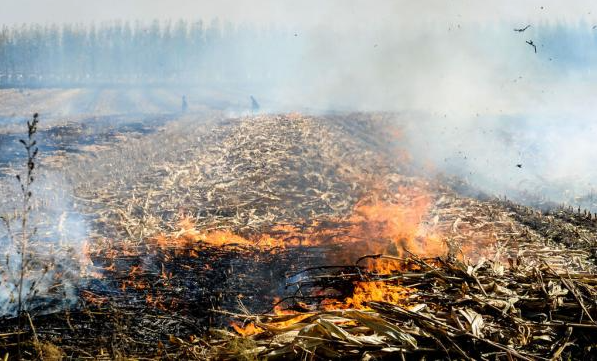 秸稈禁燒在線監(jiān)控云臺(tái)攝像機(jī)