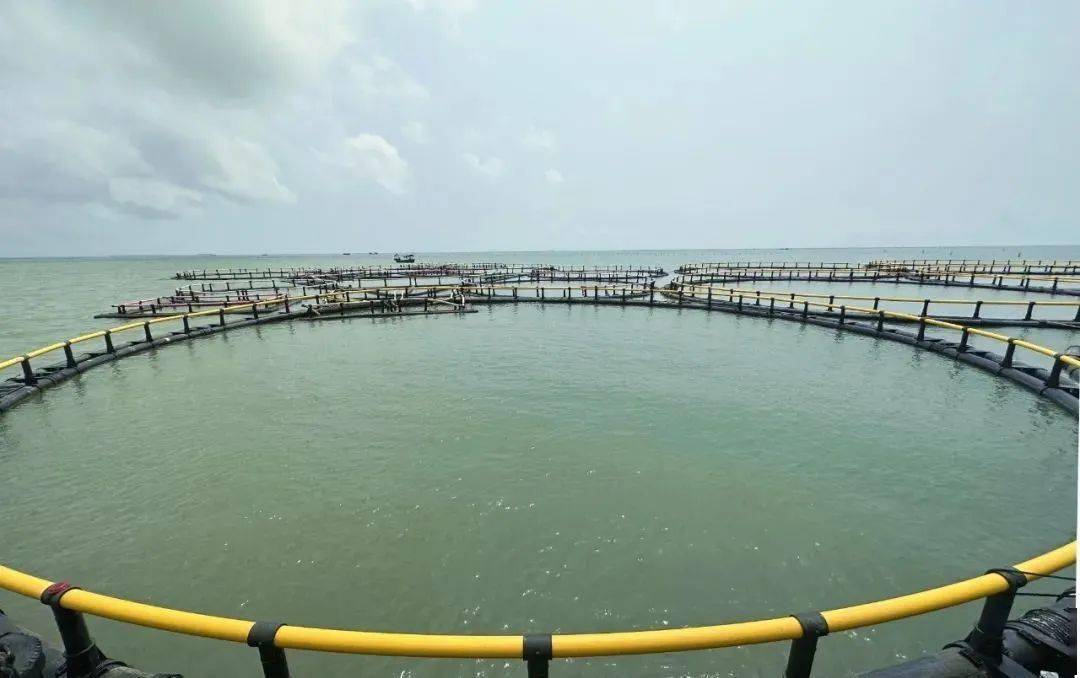 海域牧場實(shí)時防盜、防污染動態(tài)監(jiān)視監(jiān)測系統(tǒng)解決方案