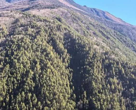 遠(yuǎn)紅外雙光重載云臺攝像機(jī)