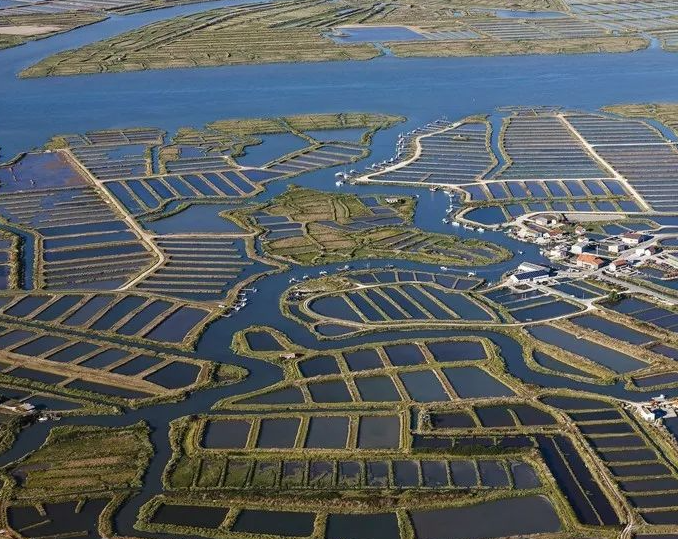 激光夜視球型轉(zhuǎn)臺(tái)攝像機(jī)