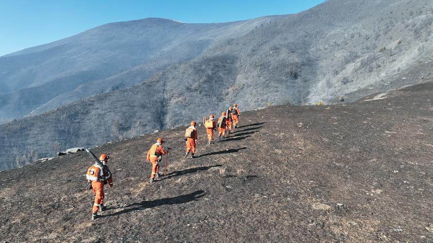 雙芯雙視距：基于熱成像與可見光的林地防火實時監(jiān)測方案