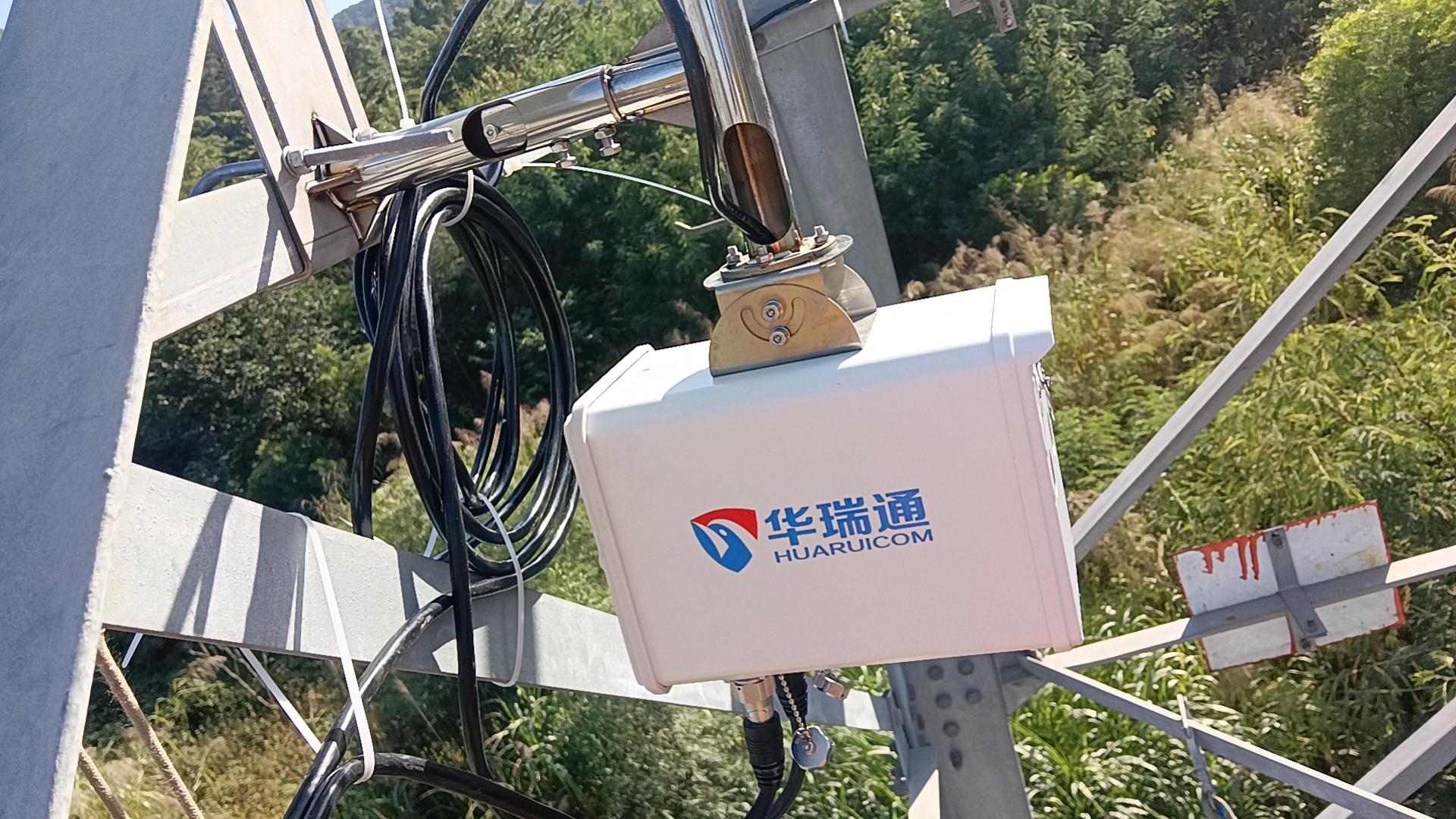 林區(qū)輸配電走廊：智能防火監(jiān)控與植被管理系統(tǒng)構(gòu)建